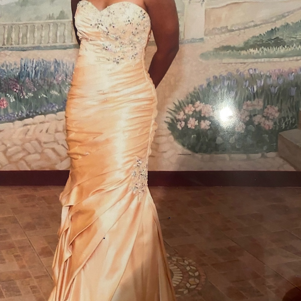 Paparazzi Brand Strapless Gown - Size 7/8